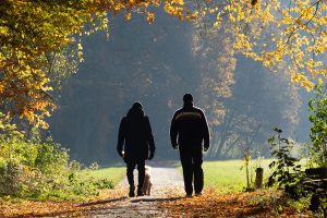 Walking Therapy CPD