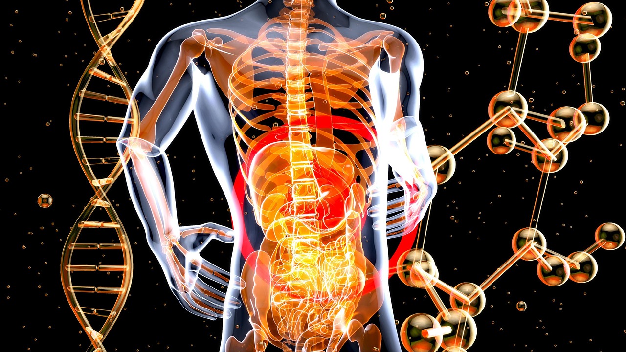 Understanding the Gut-Brain Axis CPD